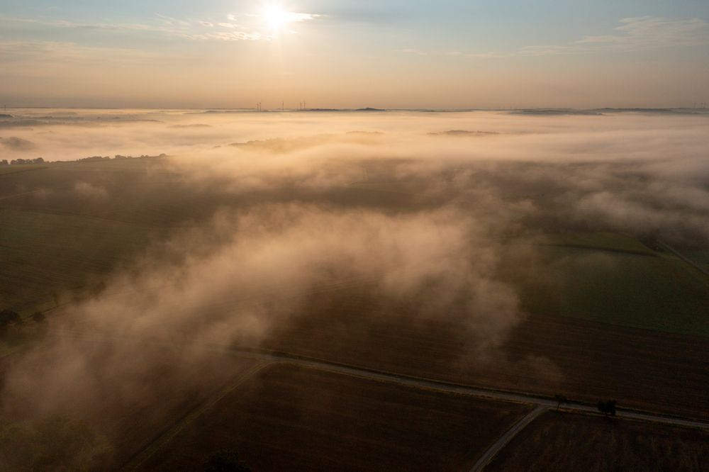 Drone view in the morning with foggy agricultural fields at golden hour