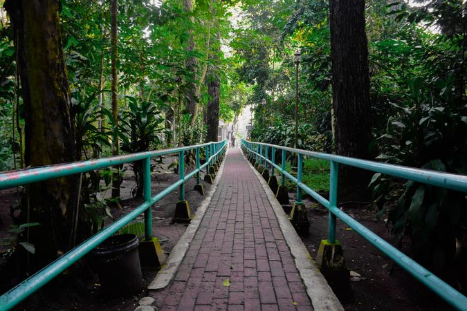 Peaceful garden pathway brick in green park, walk among trees and plants in a beautifully landscaped outdoor environment