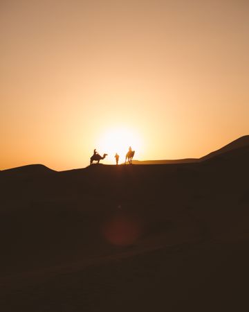 Silhouette of travelers on camels in sunset