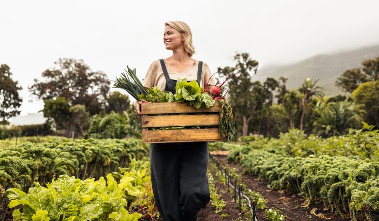 Woman farmer walking through her garden carrying box of fresh produce