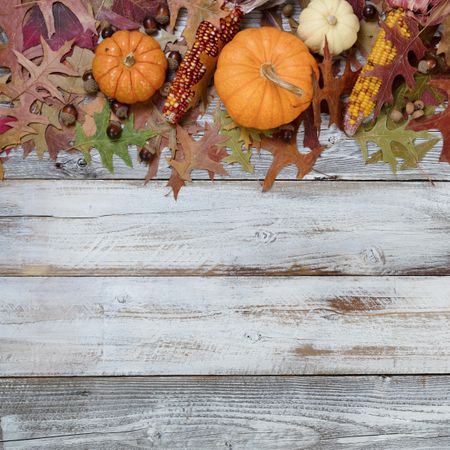 Fall decorations for the season on rustic wood