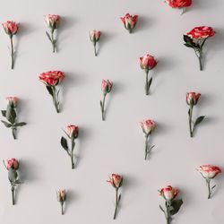 Colorful flowers pattern on light  background