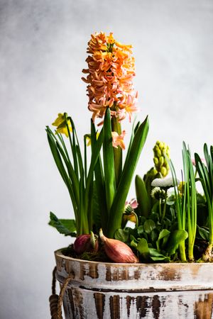 Spring floral interior composition