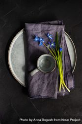 Top view of table setting with blue scilla siberica 4322oP