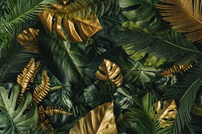 Densely packed green and gold leaves
