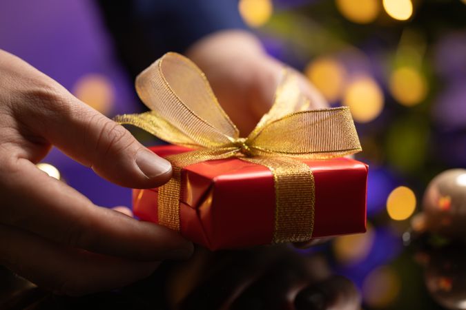 Businessman Holding Gift Christmas Tree