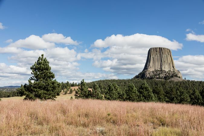 Devil’s Tower, against a blue sky in northeastern Wyoming