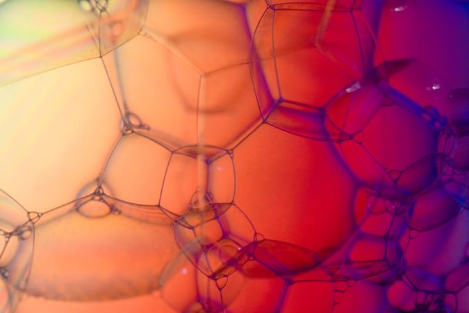 Abstract background bio technology, macro photography foam and water with gradient background. Molecule multicolor backgorund