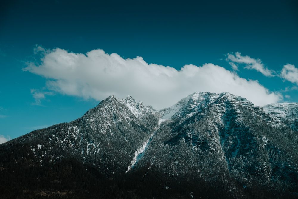 Slope covered with trees in snow against bright sky