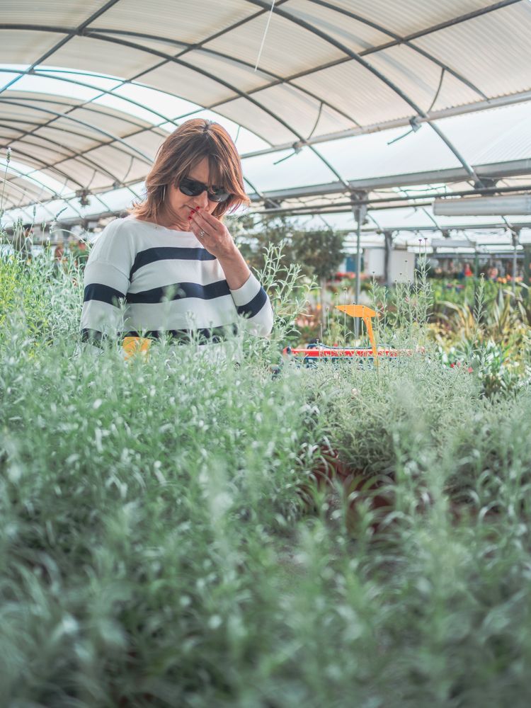 Thoughtful female choosing flowers on market