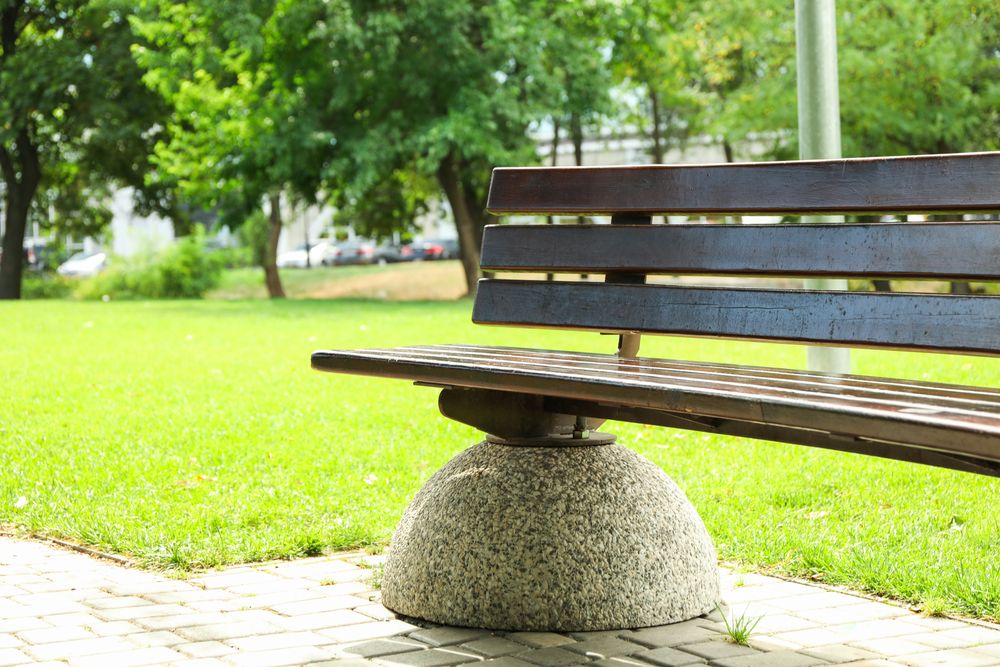 Bench in beautiful green summer park, space for text