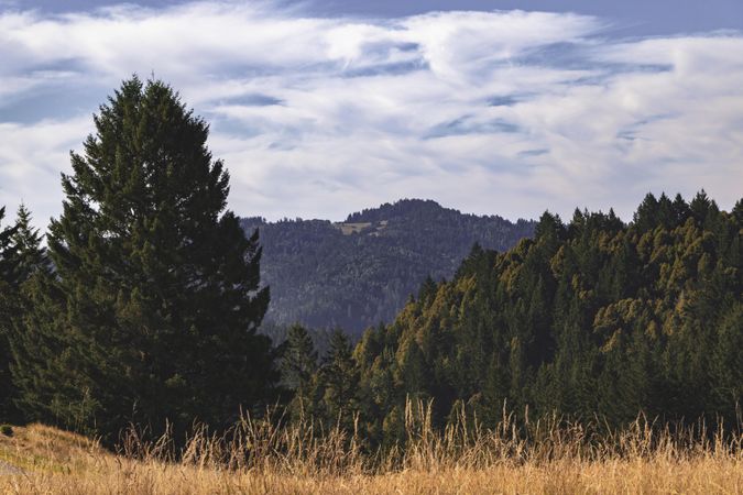 Beautiful view of a mountain in summer time with clouds in the blue sky