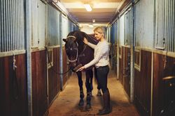 Young horse trainer brushing horse’s mane with a brush