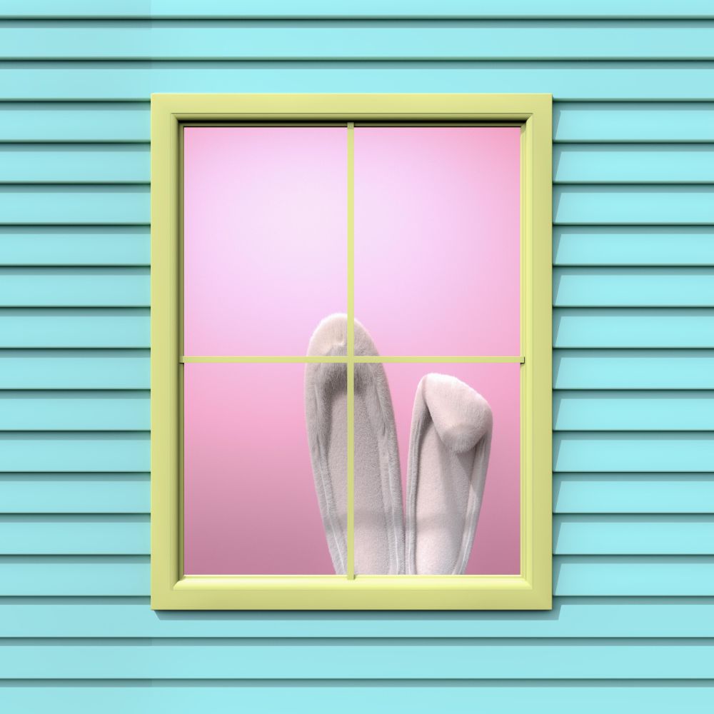 Bunny ears behind window at home
