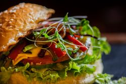 Close up of sprouts on American hamburger cheese and different vegetables
