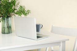 Laptop, vase with plant and coffee on light table