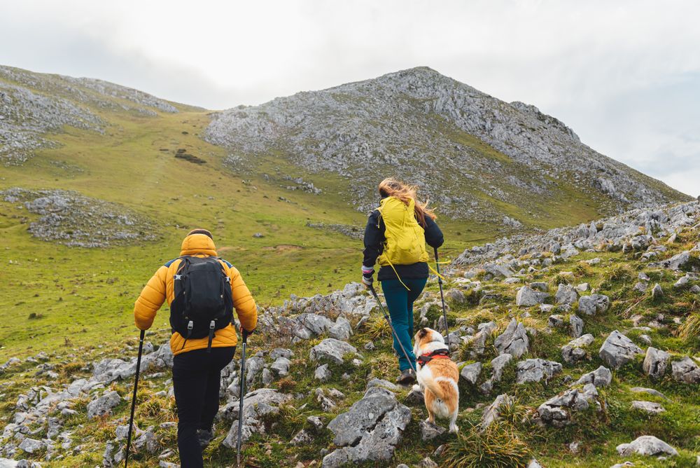 hiking in the high mountains