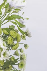 Flowers border with green and petals