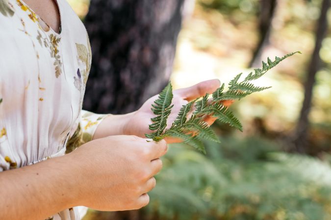 Young woman touching leaves in the forest