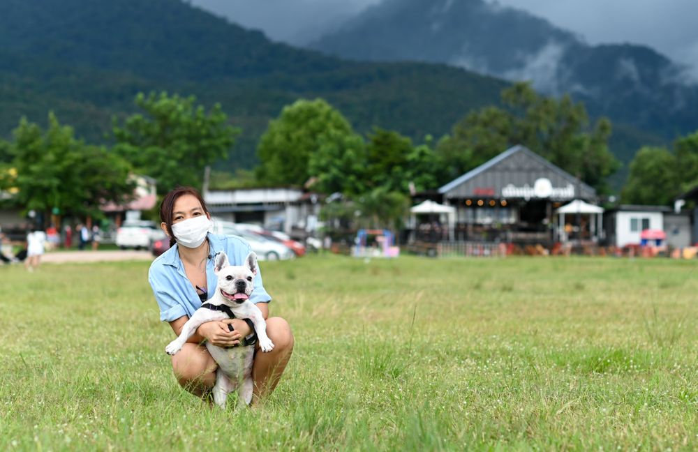 A woman wearing a mask hug a French bulldog on the lawn looking at the camera.