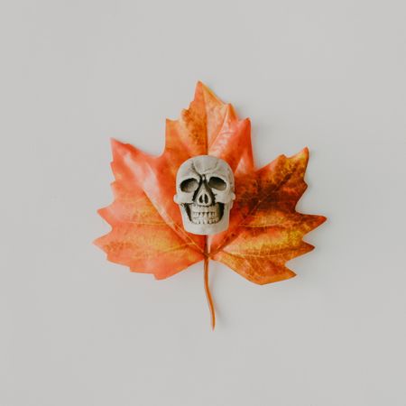 Autumn leaf with skull on light background