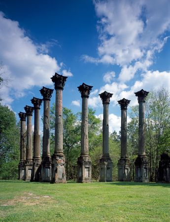 Columns at The Windsor Plantation, Claireborn County, Mississippi