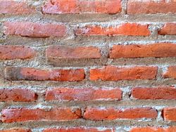 texture red brick wall