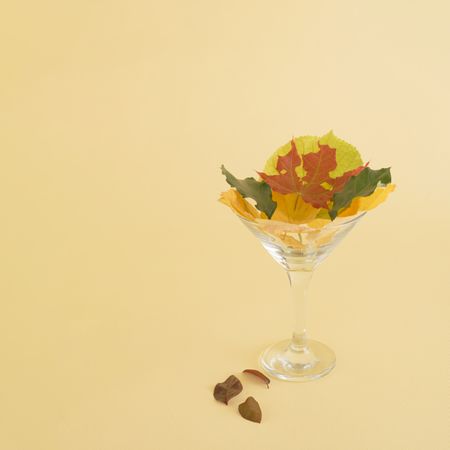 Leaves in martini glass, autumn abstract design