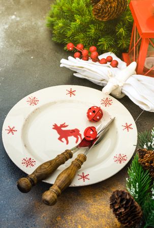 Red Christmas plate with snowflakes and reindeer pattern