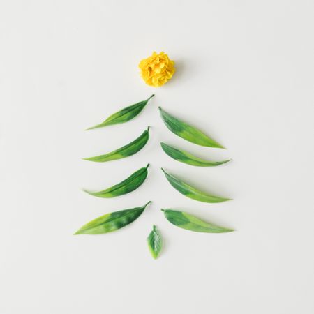 Christmas tree made of green leaves topped with yellow flower on light background