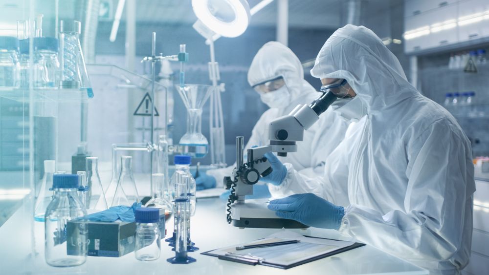 Chemist Adjusts Samples in a  Petri Dish with Pincers and then Examines Them Under Microscope and His Colleague Writes Down Results.