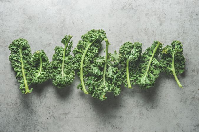 Green raw kale leaves in line on grey concrete kitchen table. Healthy seasonal winter vegetable. Cooking with fresh ingredients. Modern food background. Top view.