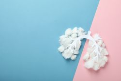 Lung bronchus made of paper and cotton on blue and pink background with copy space