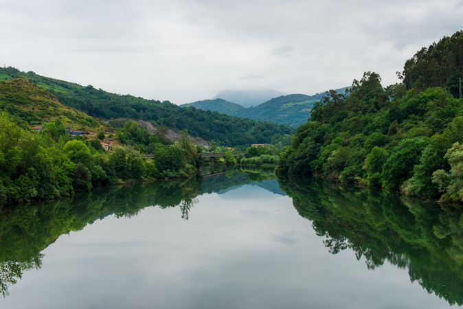 Peaceful river flowing in green nature