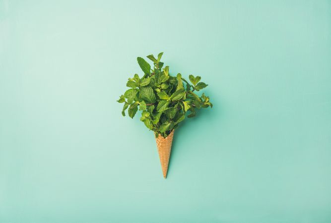 Sugar waffle cone with fresh mint leaves over light green background