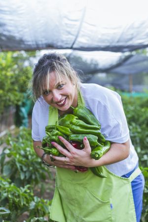 Gardener in apron showing green peppers at camera