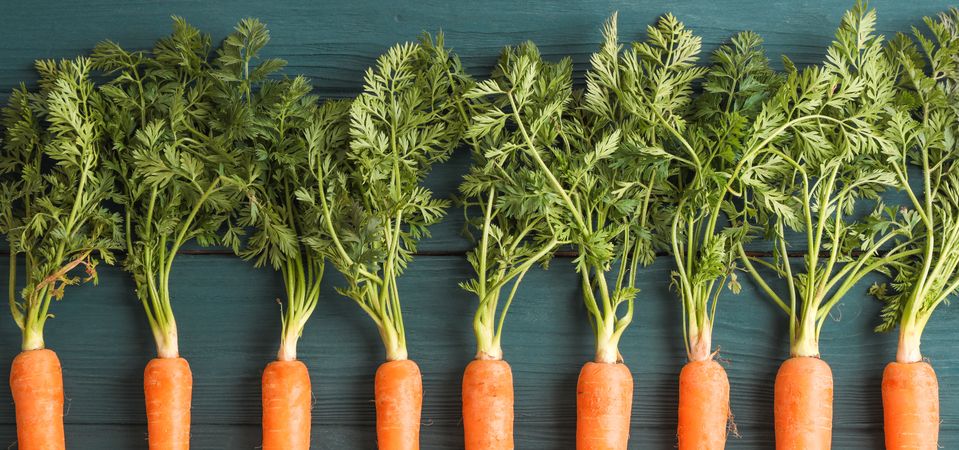 Ripe carrots on wooden background, space for text
