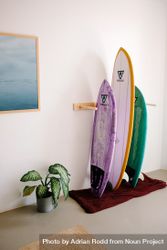 Colorful surfboards propped up in rack 43XXZb