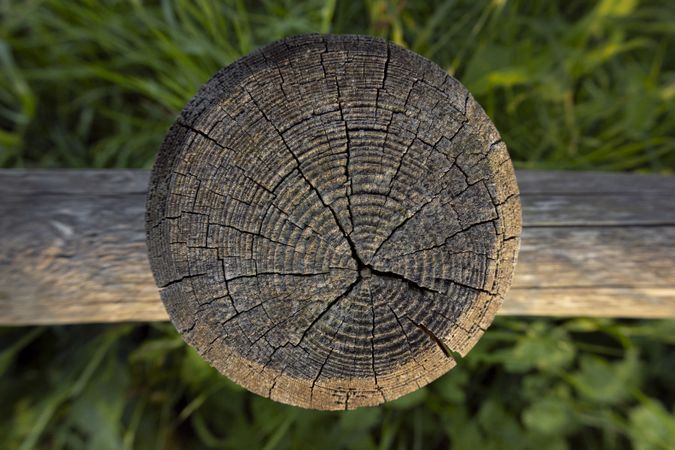 Wooden circle aged by time with cracks. Fence trunk