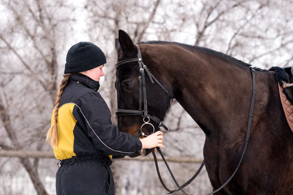 Close bond between person and horse in winter.