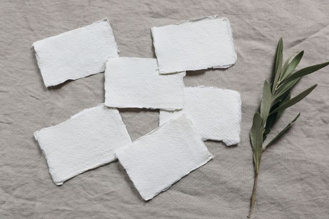 Spring, summer wedding stationery still life.