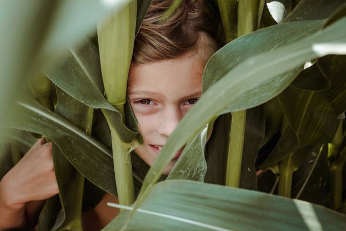 Charming kid hiding among green plants