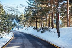 Empty road in snowy winter forest in daylight