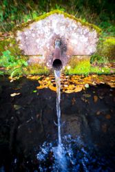 stone fountain on spacious meadow in natural
