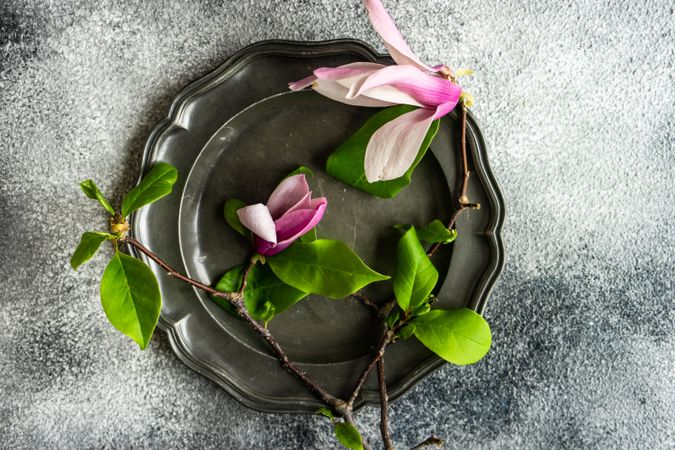 Top view of dark plate with magnolia flowers