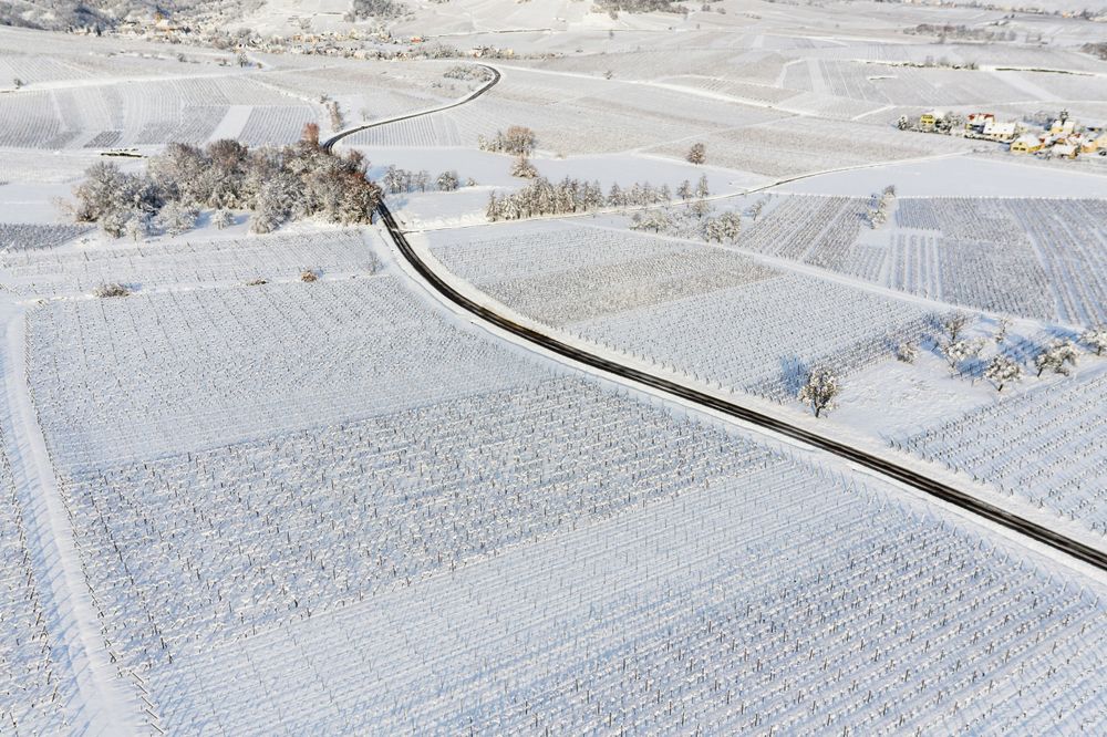 Alsace vineyards under heavy snow on a sunny winter day. Details and top view.