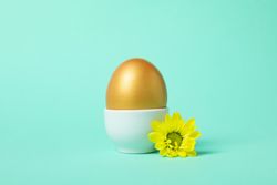 Pension rewards, returns and investment funding concepts, golden egg