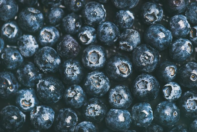 Tightly packed freshly washed batch of blueberries