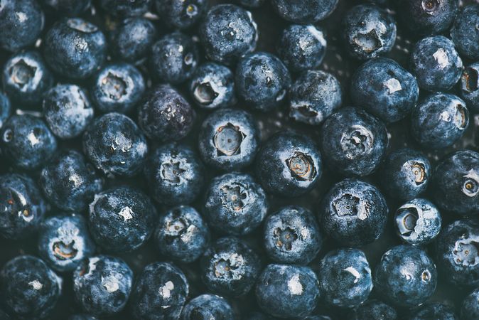 Tightly packed freshly washed batch of blueberries