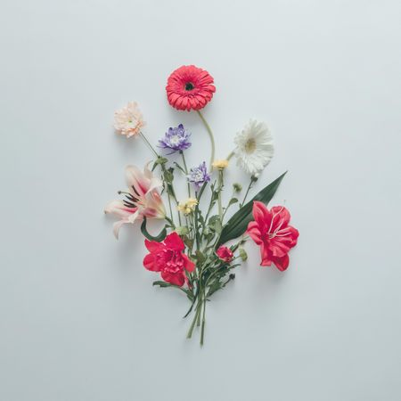 Creative layout made of various flowers